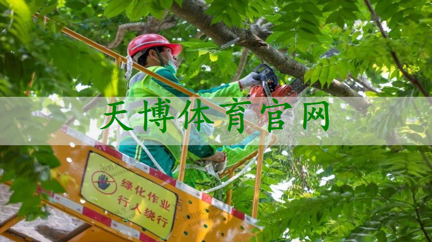 城市园林乱象频现，整改方案紧急发布，让花园更美丽！