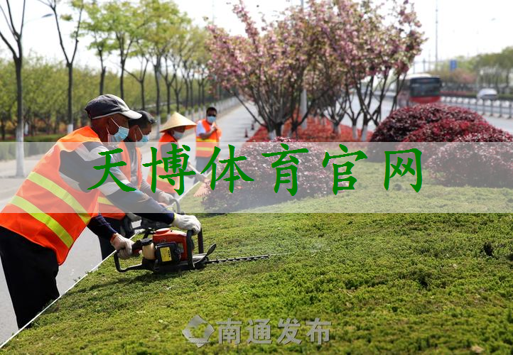 宿州绿化工程招标网站查询