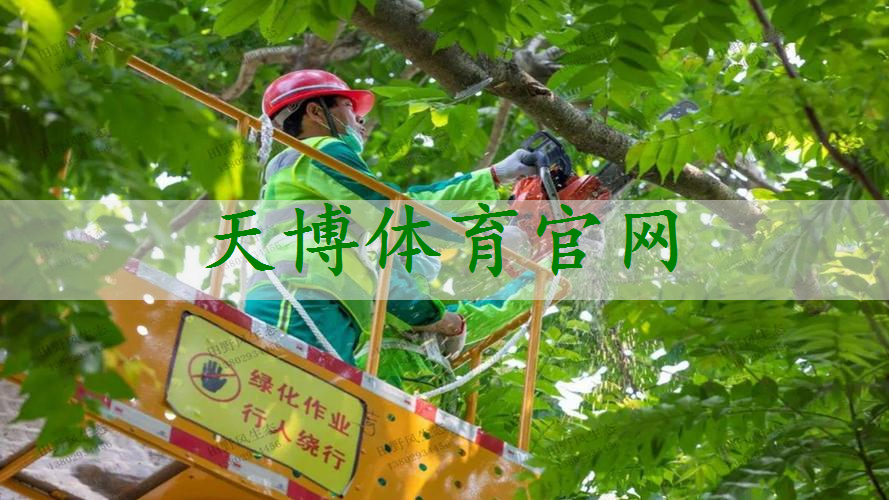 榆林城市园林绿化工程哪家好